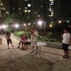 245_PCup2012